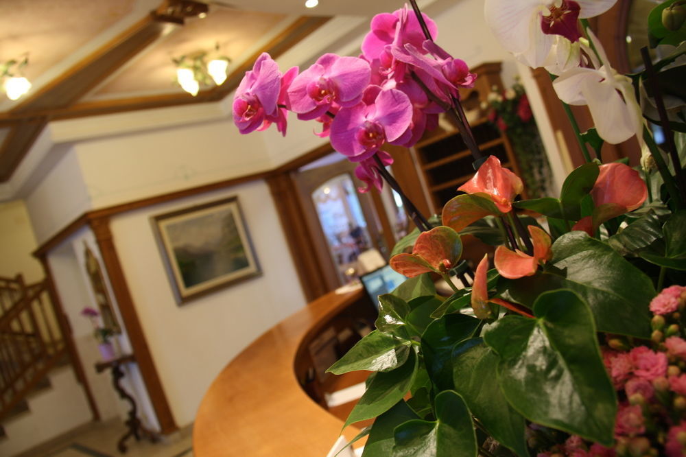 Ariston Lake View Hotel Molveno Luaran gambar
